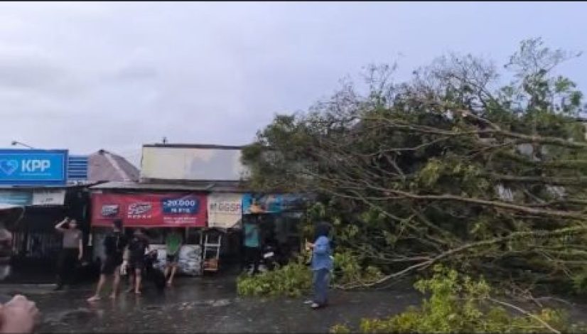 Screenshot_20260208_200836